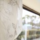 IMG_5806