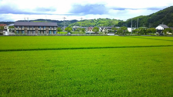 倉敷福田の家